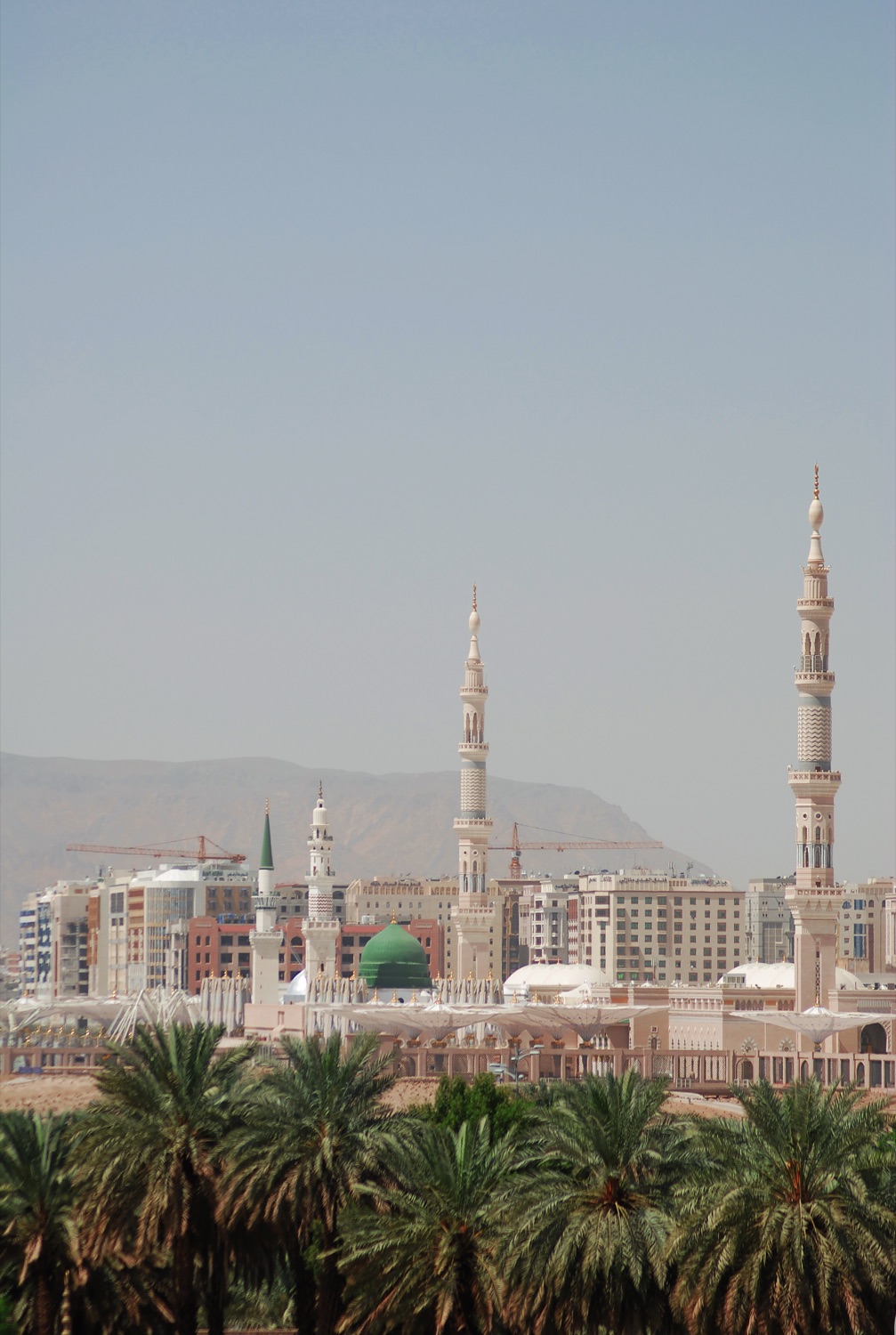 Palms and the green dome of Al-Masjid an-Nabawi in Madinah